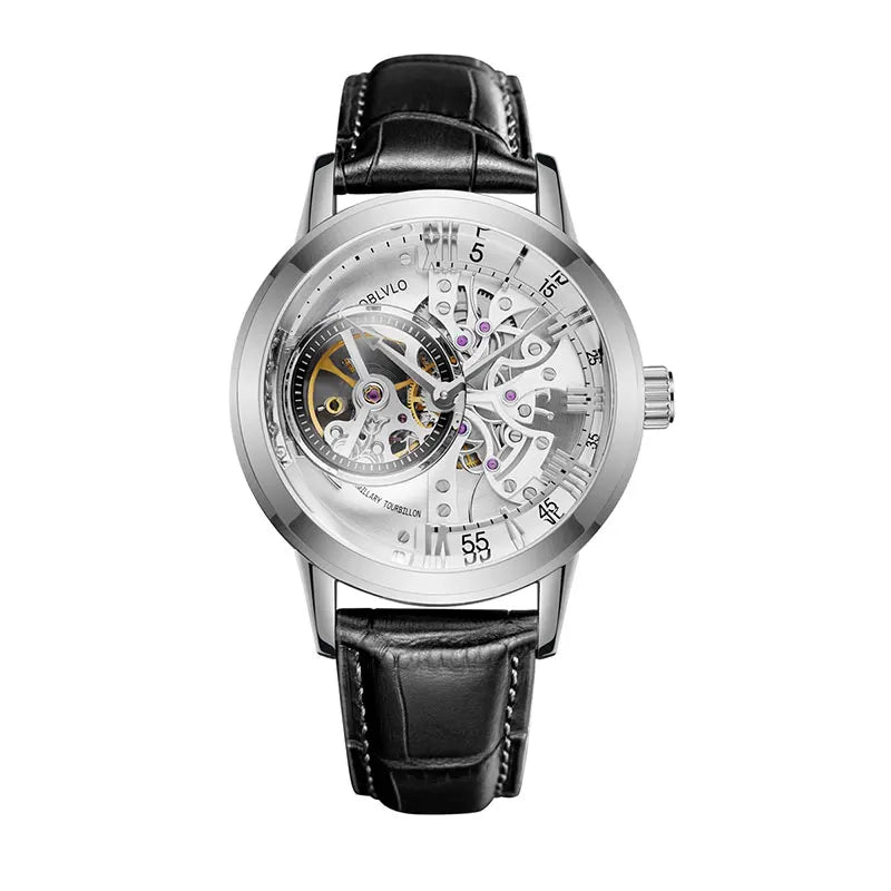 Men Mechanical Skeleton Wristwatch with Sapphire Glass